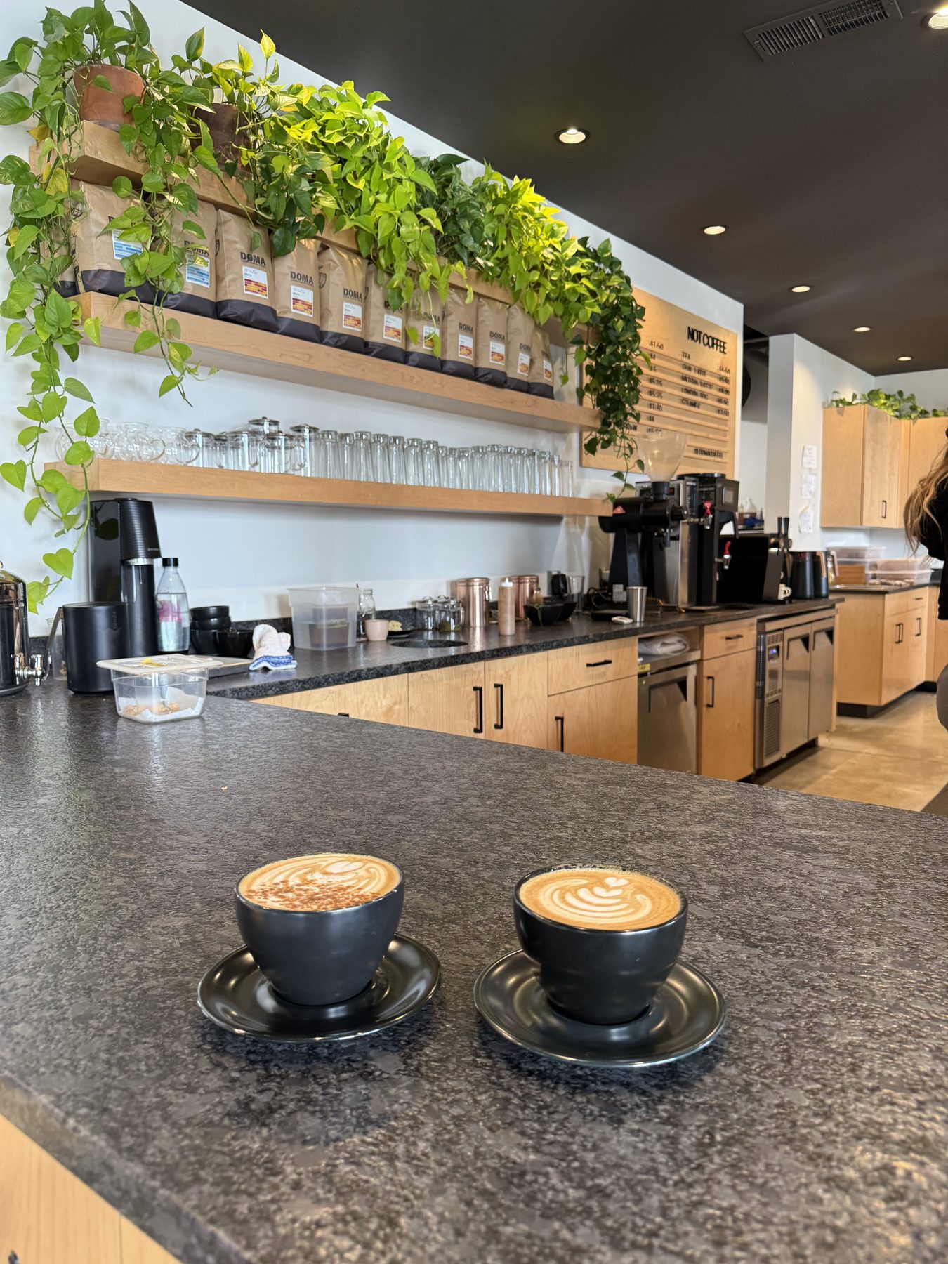 Two lattes on the DOMA coffee bar