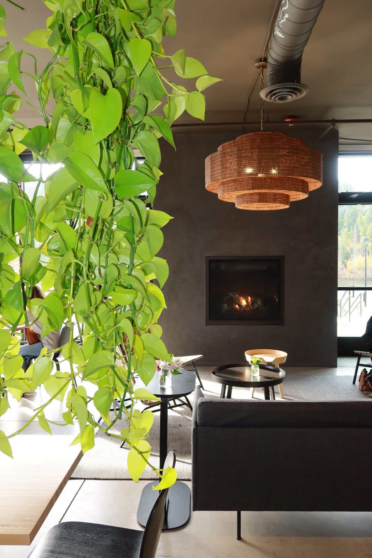 The fireplace lounge at DOMA with hanging plants