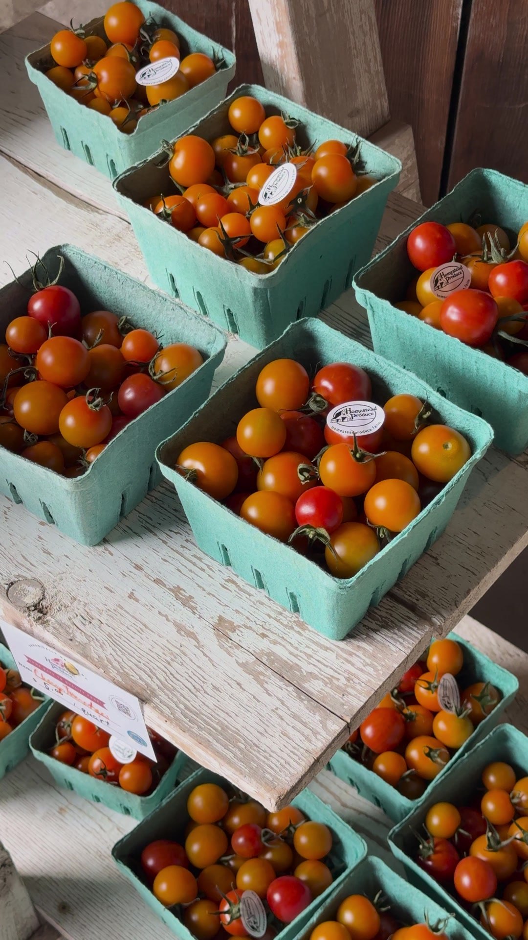 Cartons of colorful cherry tomatoes at the farm stand