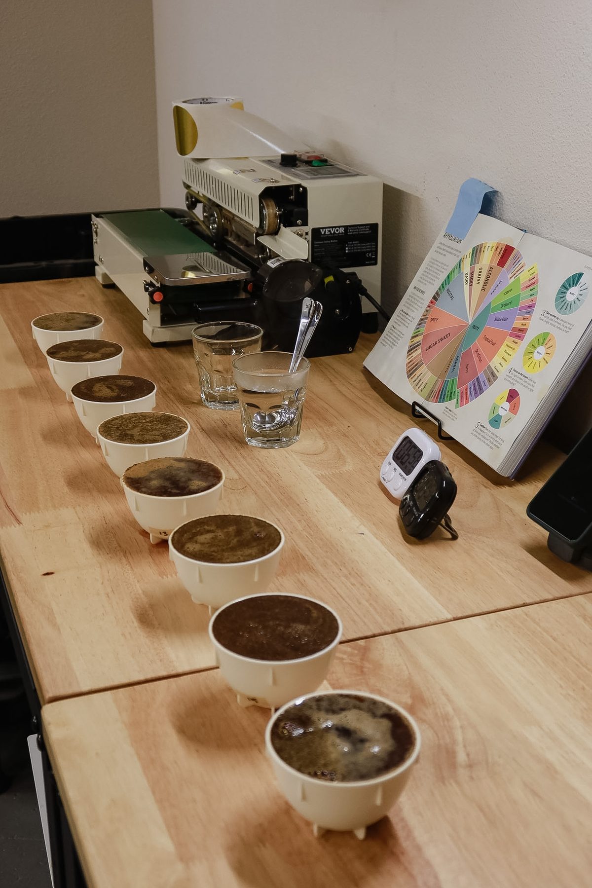 A row of cupping bowls on the tasting table