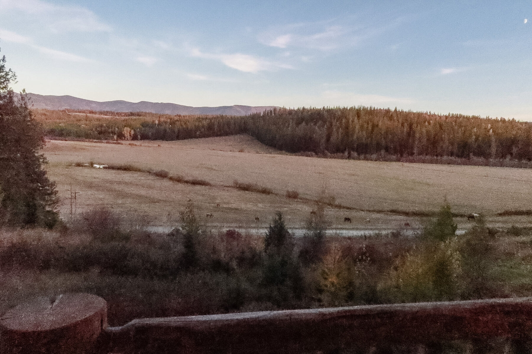 The meadow and mountains from our porch at Western Pleasure Guest Ranch