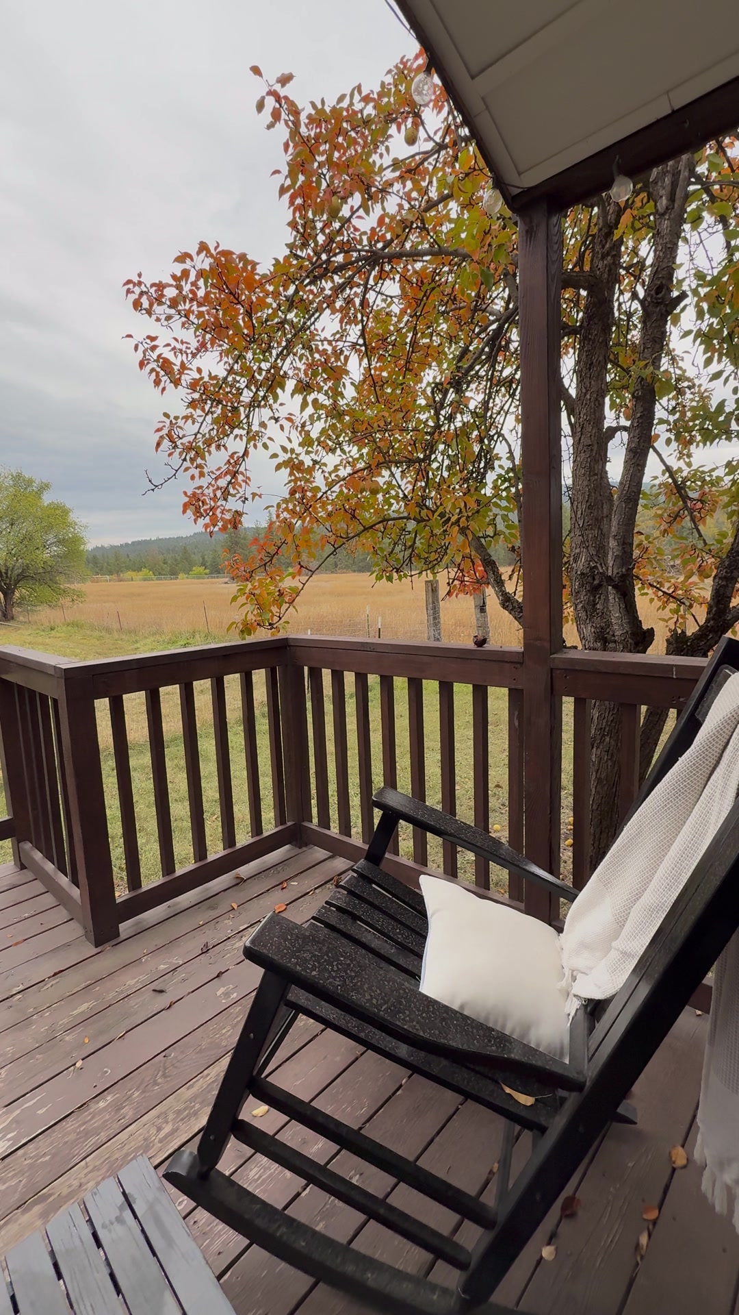 A rocking chair on the hut’s porch under fall leaves
